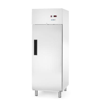 Lednice, jednokřídlé dveře, Arktic, GN 2/1, 465L, 230V/250W, 700x880x(H)2043mm | 236673
